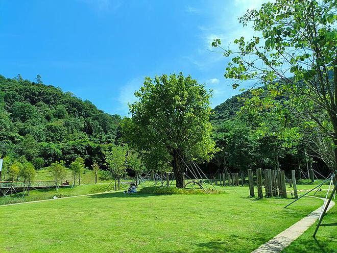 太极阴阳拳教学：掌握阴阳平衡的艺术